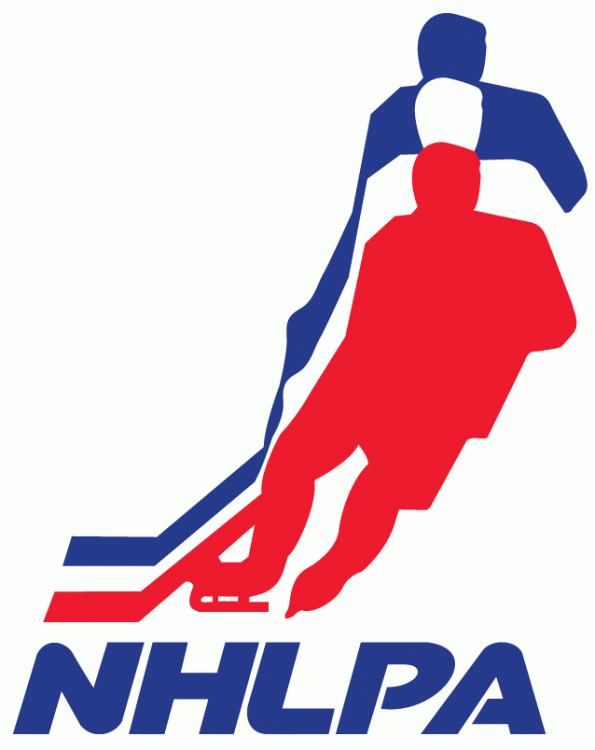 NHLPA 1971-2012 Logo vinyl decal